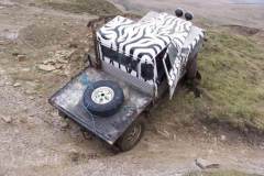 classic-off-road-zeb-2